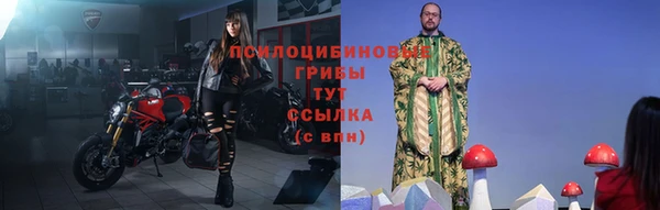 крисы Алзамай