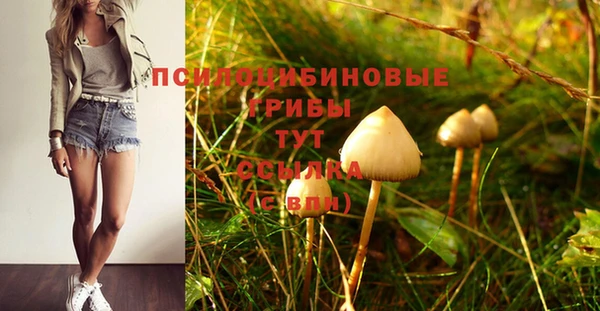 крисы Алзамай