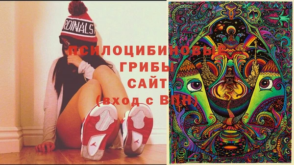 крисы Алзамай