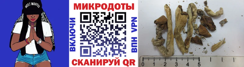 hydra рабочий сайт Череповец Псилоцибиновые грибы Cubensis