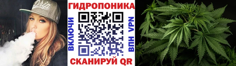 Бошки Шишки сатива  Череповец 
